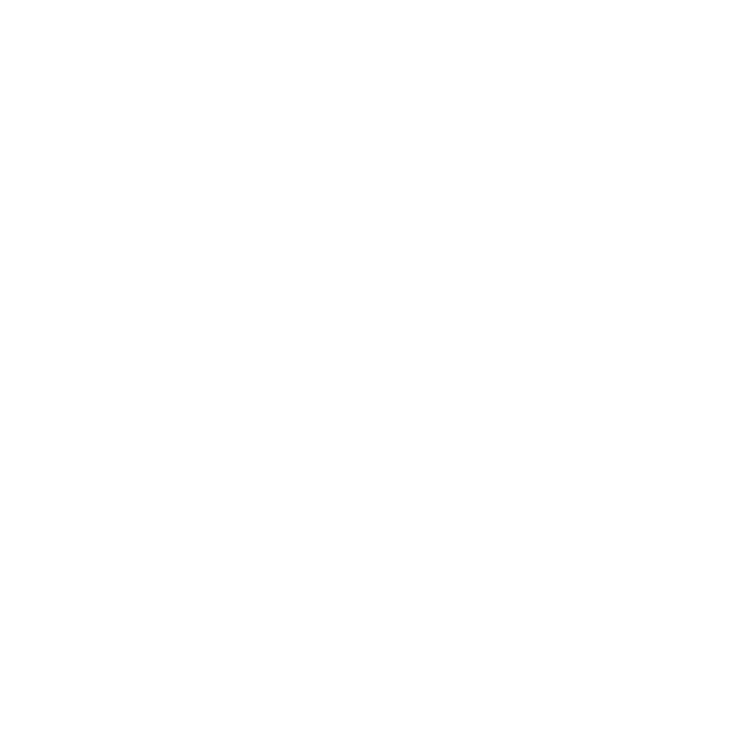 Steam